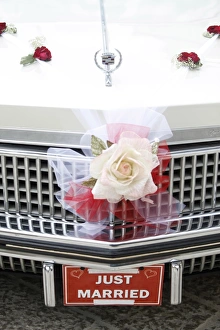 Special Occasion Prints: Wedding car, Corgiliano d Otra, Lecce, Italy, Europe