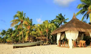Love Prints: Wedding gazebo set on the beach surrounded by palm trees under clear blue sky in Point aux Piments