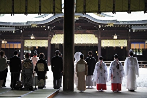 Images Dated 11th May 2008: Wedding, Meiji Jingu Shrine, Shinto Shrine, Tokyo, Japan, Asia
