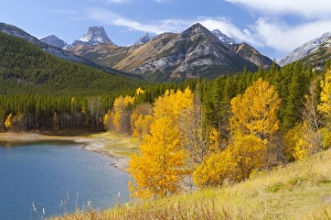 Autumn Scene Prints: Wedge Pond in autumn, Peter Lougheed Provincial Park, Alberta, Canada, North America