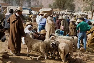 Sheep Collection: Weekly market