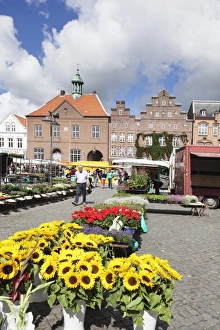 Sunflowers Prints: Weekly market at the market place of Husum, Schleswig Holstein, Germany, Europe