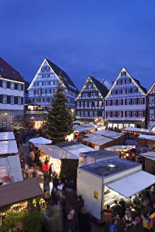 Christmas Tree Prints: Weihnachtsmarkt in the Marktplatz, Herrenberg, Baden Wurttemberg, Germany, Europe