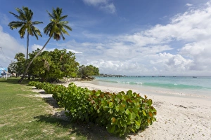 Barbados Prints: Welches Beach, Oistins, Christ Church, Barbados, West Indies, Caribbean, Central America