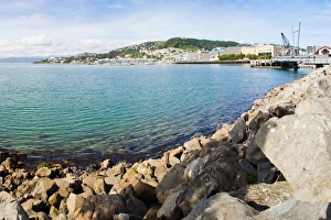 North Island Prints: Wellington Harbour, North Island, New Zealand, Pacific