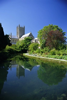 Manor Prints: Wells Cathedral from the grounds of the Bishops Palace, Wells, Somerset