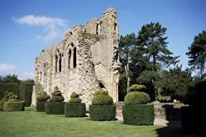 Shropshire Collection: Wenlock Priory and topiary, Much Wenlock, Shropshire, England, United Kingdom, Europe