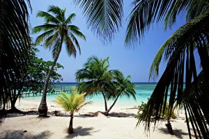 Images Dated 6th January 2000: West Bay at the western tip of Roatan