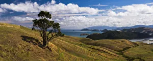 West Coast of Coromandel Peninsula, New Zealand North Island