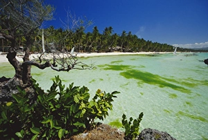 West Prints: The west coast of the island of Boracay