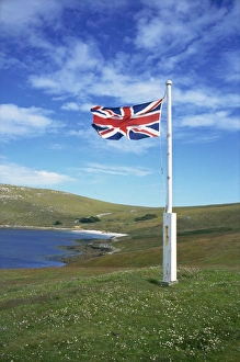 Union Flag Prints: West Falkland, Westpoint Island, Falkland Islands, South America