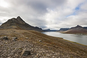 West Fjords, Iceland, Polar Regions