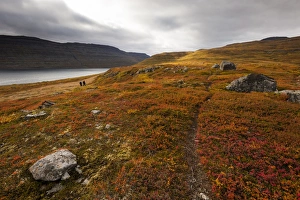 West Fjords, Iceland, Polar Regions
