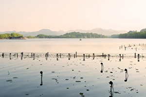 West Lake Prints: West Lake at dusk, Hangzhou, Zhejiang, China, Asia