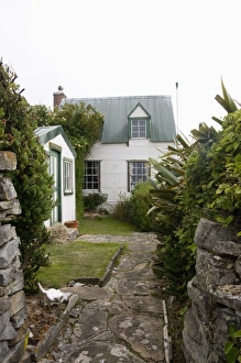 Images Dated 4th March 2009: West Point Island, Falkland Islands, South America