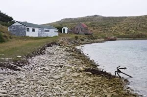 Images Dated 4th March 2009: West Point Island, Falkland Islands, South America