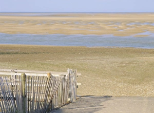 West Sands at low tide from footpath from Wells beach car park, Wells-next-the-Sea