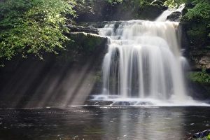 Images Dated 2nd September 2008: Westburton Waterfall, Westburton, Yorkshire Dales, Yorkshire, England, United Kingdom, Europe