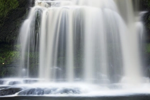 Images Dated 2nd September 2008: Westburton Waterfall, Westburton, Yorkshire Dales, Yorkshire, England, United Kingdom, Europe