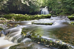 Images Dated 2nd September 2008: Westburton Waterfall, Westburton, Yorkshire Dales, Yorkshire, England, United Kingdom, Europe