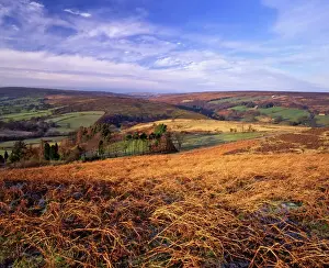 Farm Prints: Westerdale from Castleton Rigg, North York Moors National Park, North Yorkshire, England