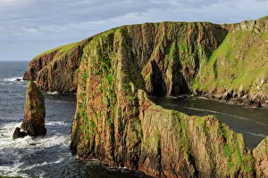 Sea Stack Gallery: Westerwick, dramatic coastal views, red granite sea cliffs and stacks, West Mainland