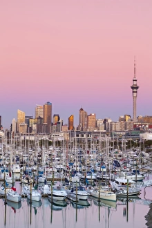 Auckland Prints: Westhaven Marina & city skyline illuminated at dusk