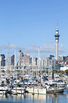 Auckland Prints: Westhaven Marina and city skyline