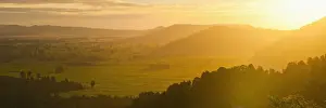 Westland National Park sunset, UNESCO World Heritage Site, West Coast of South Island, New Zealand, Pacific