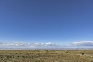 Friesland Prints: Wetland and beach, Schiermonnikoog