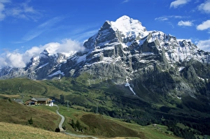 Wetter Horn Prints: The Wetterhorn