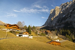 Grindelwald Prints: The Wetterhorn, Grindelwald, Jungfrau region, Bernese Oberland, Swiss Alps, Switzerland