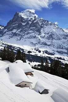 Images Dated 13th March 2009: Wetterhorn mountain, 3692m, Grindelwald, Jungfrau region, Bernese Oberland