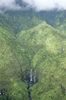 Falls Prints: The wettest place on Earth, Mt