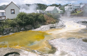 Jeopardy Prints: Whakarewarewa Thermal Park
