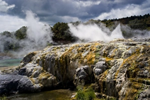 Images Dated 7th November 2008: Whakarewarewa Thermal Reserve, North Island, New Zealand, Pacific