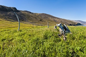 Bone Prints: Whale Bone Alley, Ittygran Island, Chukotka, Russia, Eurasia