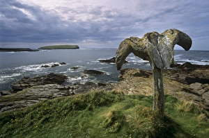 Whaling Prints: Whalebone at Skippigeo