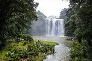 Images Dated 5th April 2011: Whangarai Falls, North Island, New Zealand, Pacific
