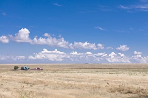 Kazakhstan Prints: Wheat field with farm, Tamagaly Das, Kazakhstan, Central Asia