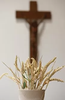 Wheat in Saint-Hugues church, Pontcharra, Isere, France, Europe