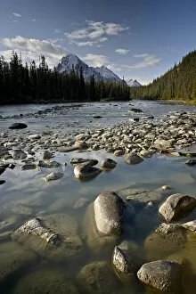 Images Dated 30th September 2009: Whirlpool River, Jasper National Park, UNESCO World Heritage Site, Rocky Mountains