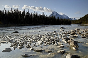 Images Dated 30th September 2009: Whirlpool River, Jasper National Park, UNESCO World Heritage Site, Alberta