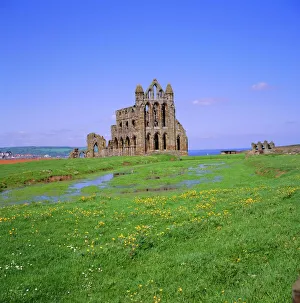Whitby Abbey, Whitby, North Yorkshire, England, UK, Europe