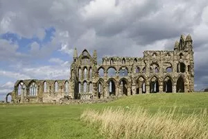 Images Dated 13th August 2007: Whitby Abbey, Yorkshire, England, United Kingdom, Europe