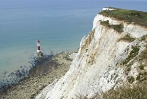 Images Dated 14th June 2009: White chalk cliff and lighthouse, Beachy Head, Sussex, England, United Kingdom, Europe