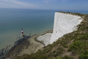 Light Houses Prints: The White Cliff and lighthouse at Beachy Head, Sussex, England, United Kingdom, Europe