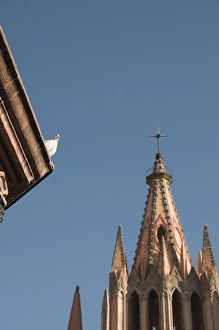 Images Dated 18th April 2008: White dove on roof of bandstand in the Jardin Principal with La Parroquia in background