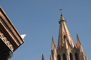 Images Dated 18th April 2008: White dove on roof of bandstand in the Jardin Principal with La Parroquia in background