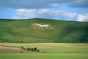 White horse dating from 1812 carved in chalk on Milk Hill, Marlborough Downs